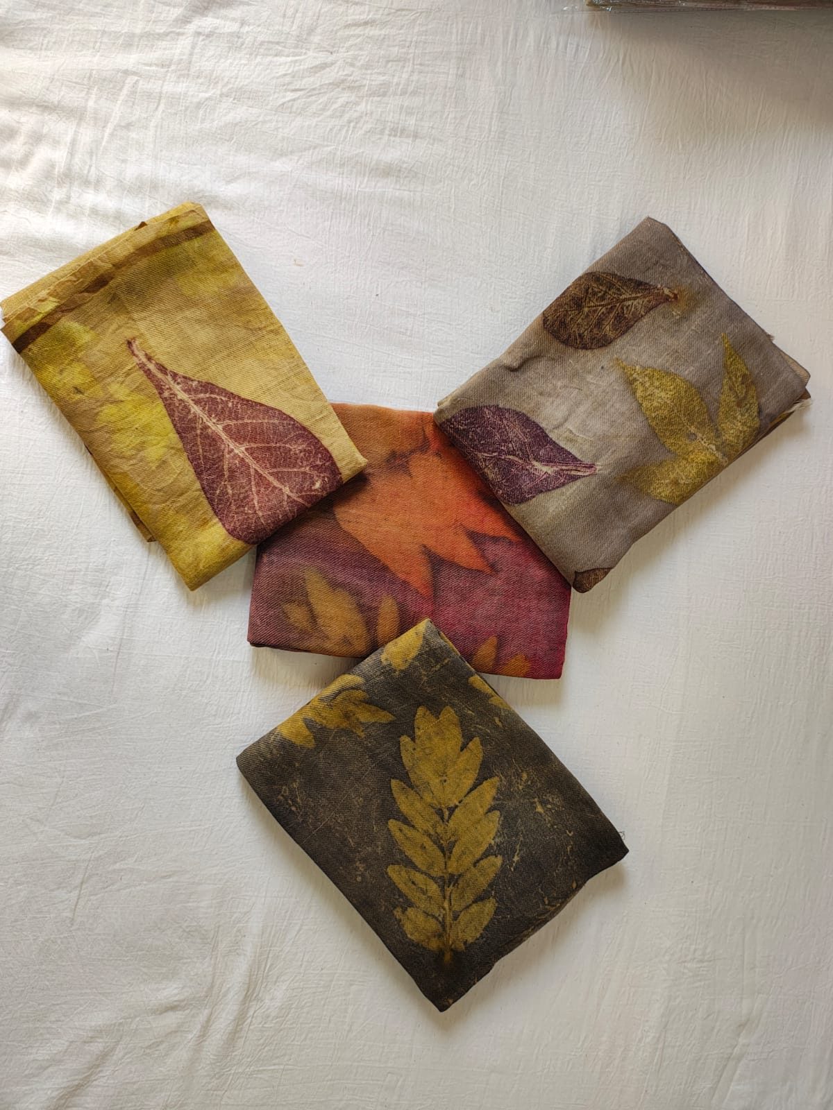 Eco Print Saree Model