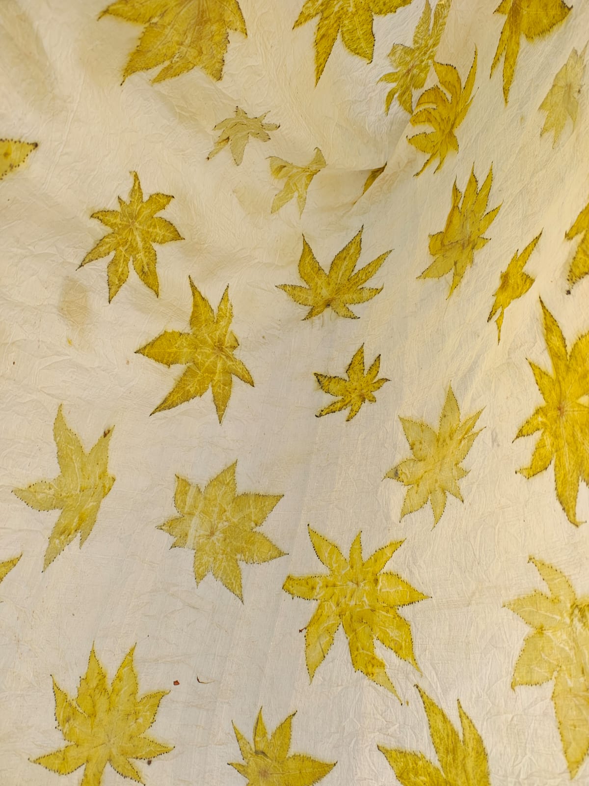 Eco Print Saree Fabric